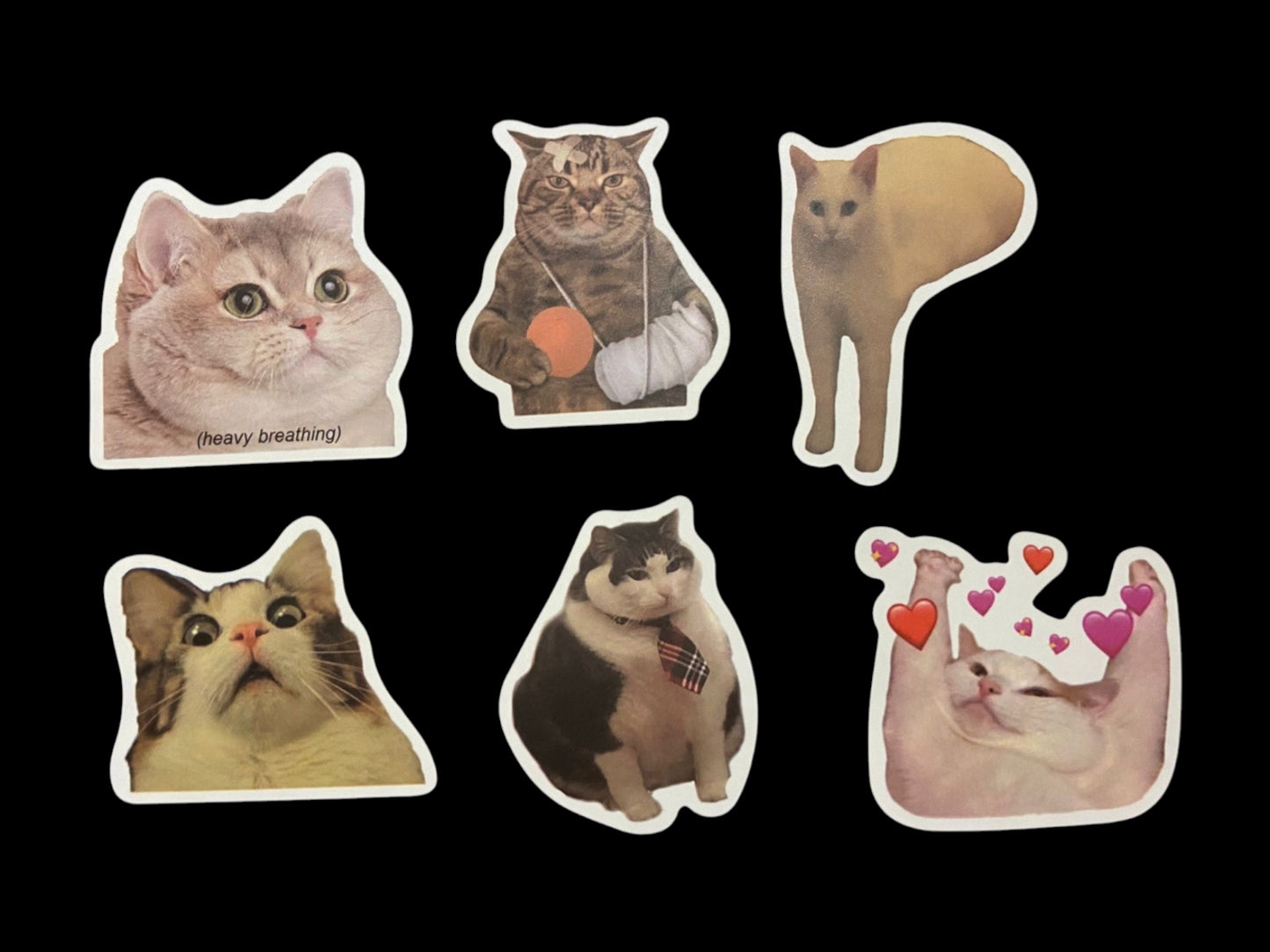 Katten stickers hilarische poes funny cats 50 stuks