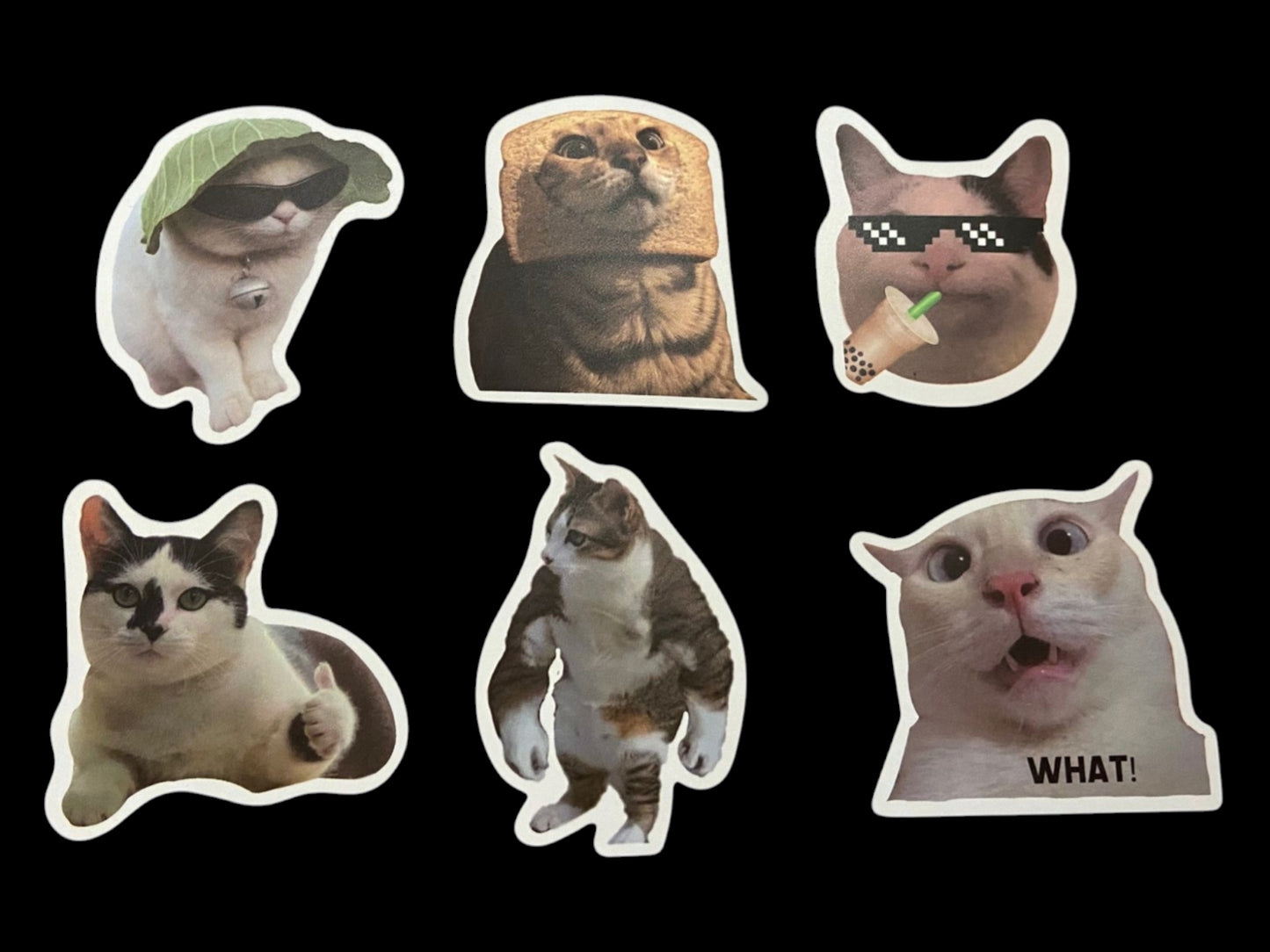 Katten stickers hilarische poes funny cats 50 stuks