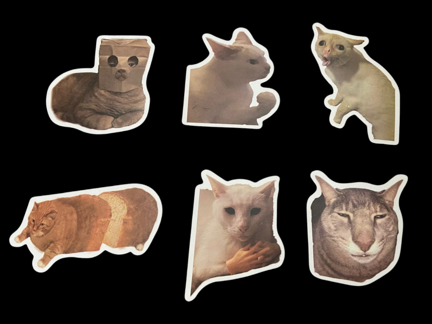 Katten stickers hilarische poes funny cats 50 stuks