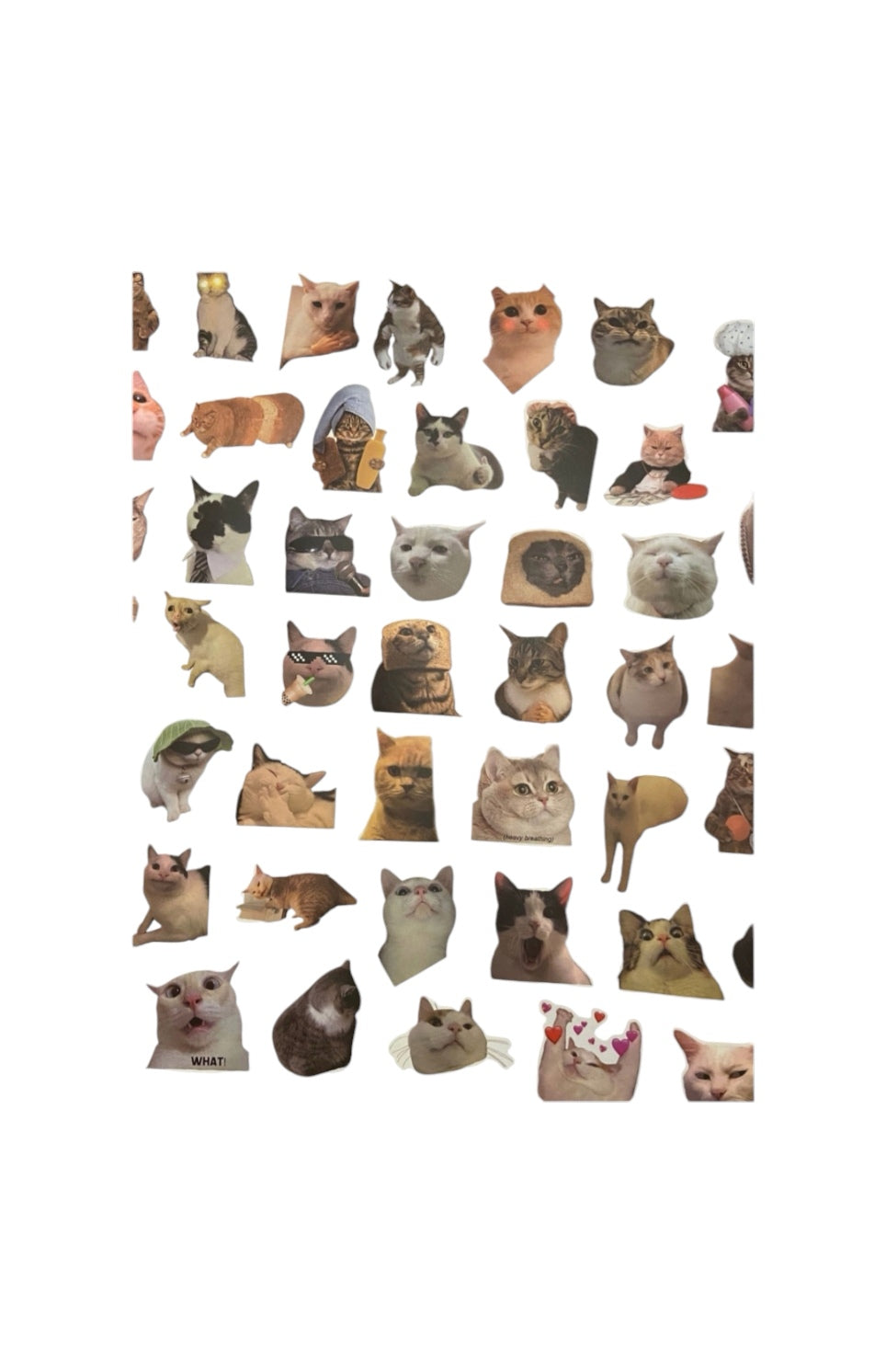 Katten stickers hilarische poes funny cats 50 stuks