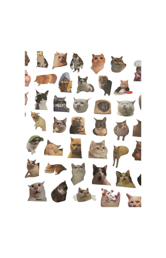 Katten stickers hilarische poes funny cats 50 stuks